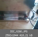 DSC_0266.JPG